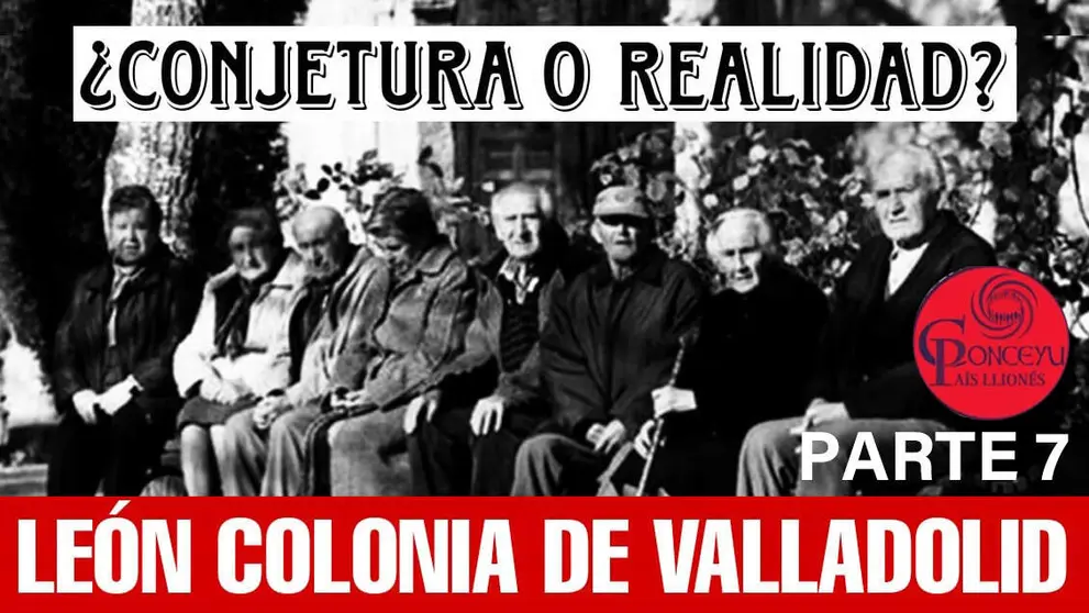 Imagen de WhatsApp 2024-11-12 a las 09.24.37_57a8340b