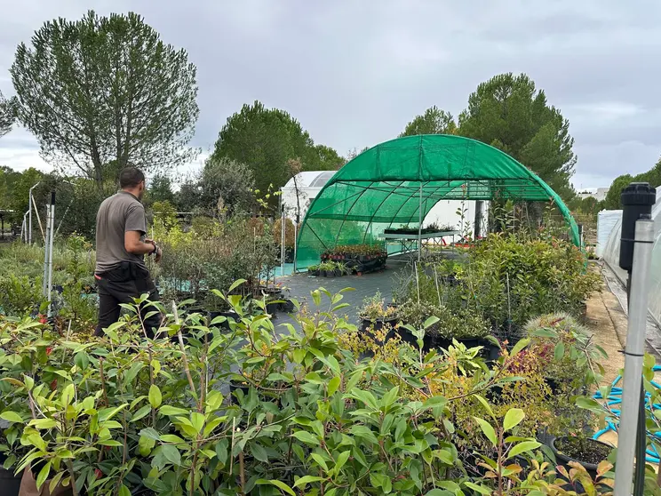 CIUDEN Vivero CIUDEN Vivero abre convocatoria para dos programas de formaci&oacute;n en gesti&oacute;n forestal y jardiner&iacute;a