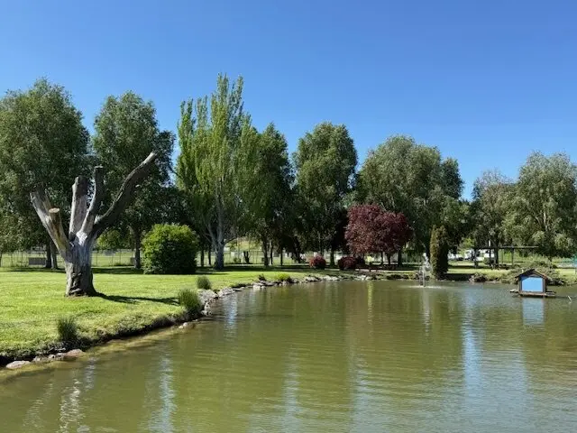 Parque Patos