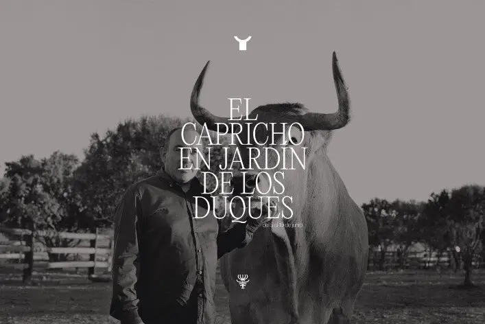 El Capricho de Jos&eacute; Gord&oacute;n llega a Madrid: una experiencia &uacute;nica en el Palacio de los Duques Gran Meli&aacute;.