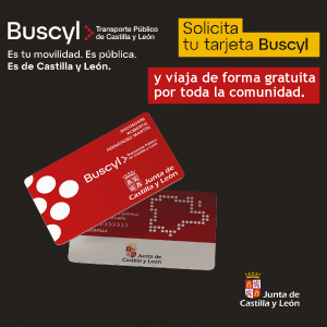 BUSCYL300x300