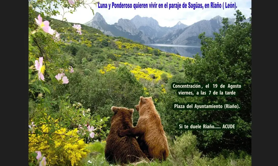 CercadoOsero-Cartel