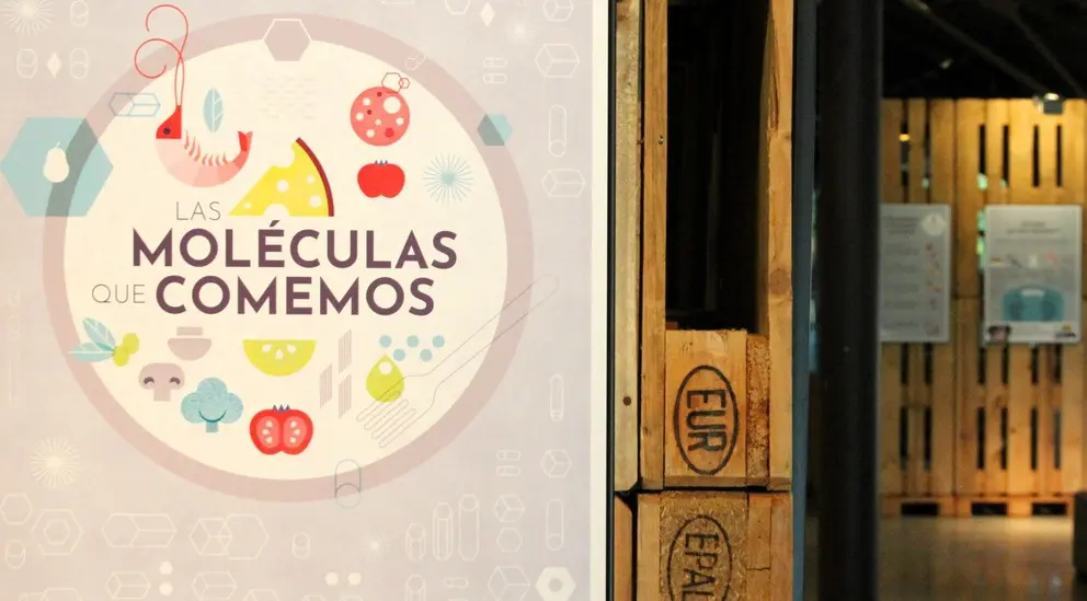 &lsquo;Las mol&eacute;culas que comemos&rsquo;: la nueva exposici&oacute;n del Museo de la Energ&iacute;a que desvela los secretos cient&iacute;ficos de la alimentaci&oacute;n
