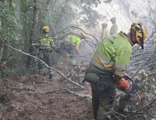 Trabajos de aseguramiento de per&iacute;metro tras el incendio Foto de Archivo