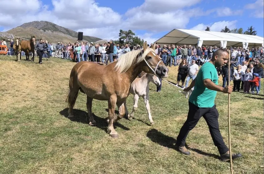 Feria de San Emiliano 2025