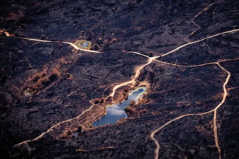 &copy; Pedro Armestre Greenpeace_30 agosto 2025. Las M&eacute;dulas, El Bierzo. Leon_II