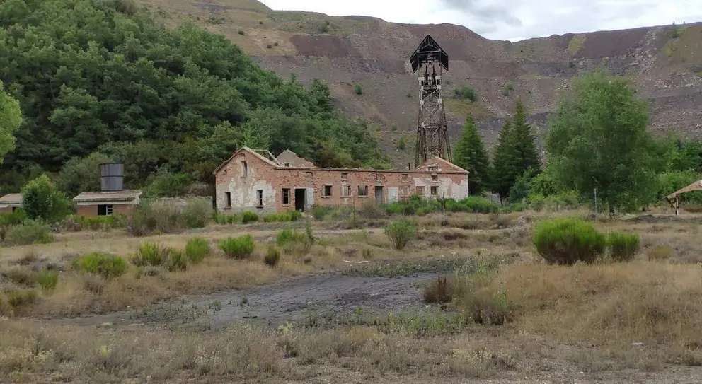 Ci&ntilde;era de Gord&oacute;n 