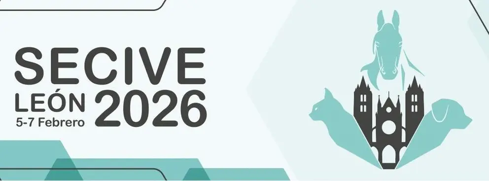 La Facultad de Veterinaria de la Universidad de Le&oacute;n acoge desde este jueves el XXX Congreso de la Sociedad Espa&ntilde;ola de Cirug&iacute;a Veterinaria, una cita que re&uacute;ne a m&aacute;s de 300 especialistas del sector de toda Espa&ntilde;a y de &aacute;mbito internacional.