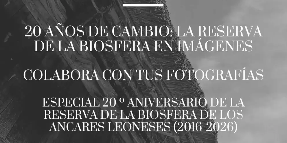 Ancares Leoneses