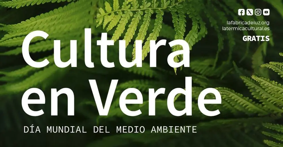 Captura de pantalla 2026-05-22 133519