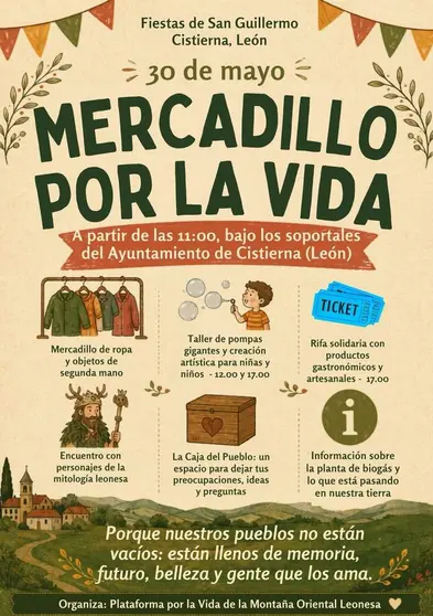 Mercadillo Solidario_30052026
