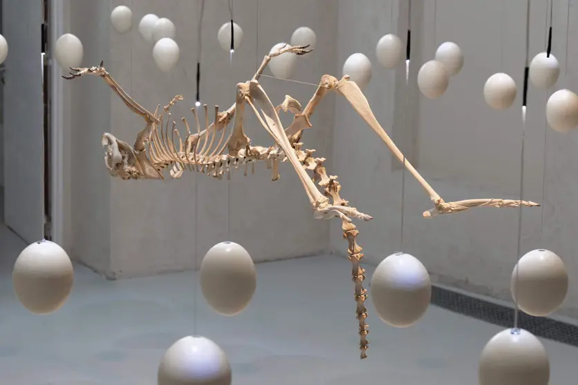 Zoofuturismo, la primera exposici&oacute;n en Espa&ntilde;a de Art Orient&eacute; Objet, llega a la Fundaci&oacute;n Cerezales Antonino y Cinia