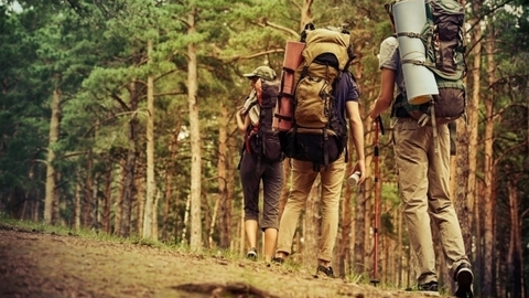 Camino de Santiago