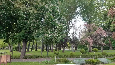Parque de Quevedo Le&oacute;n