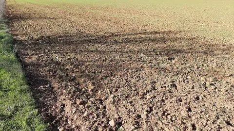 Extensi&oacute;n de campo en la provincia de Le&oacute;n