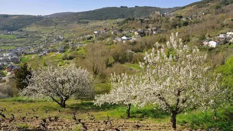 Corull&oacute;n (El Bierzo)