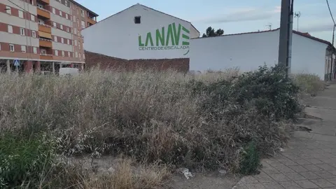 Solares llenos de maleza