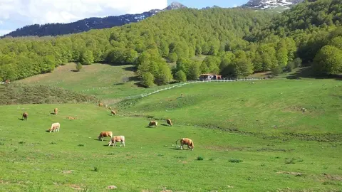 Monta&ntilde;a de Vegaba&ntilde;o