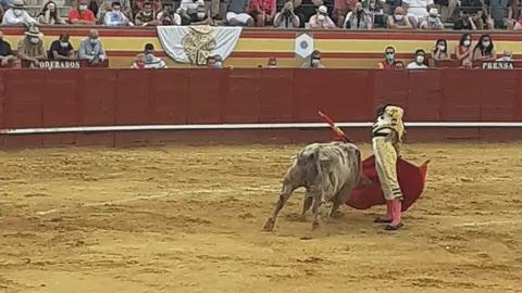 Dami&aacute;n con su primer toro