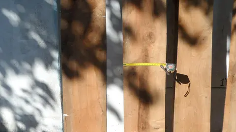Madera de nogal