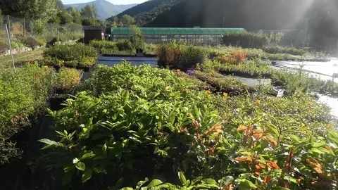 Vivero e invernadero CIUDEN
