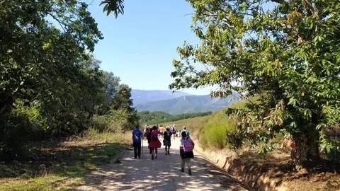 I Ruta Camino de invierno "Cornatel-Puente de Domingo Fl&oacute;rez" (foto de archivo)