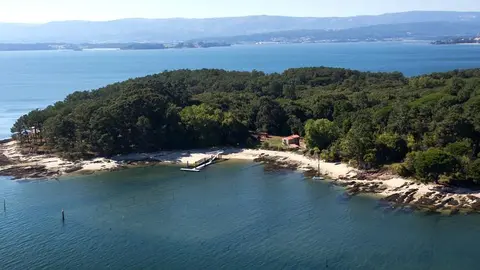 Isla de Cortegada alberga el bosque de laureles de mayor superficie de Europa, una aut&eacute;ntica joya de la naturalez