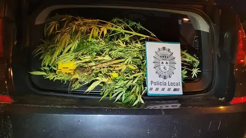 Marihuana Polic&iacute;a Local