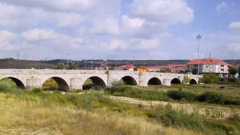 Puente Castro Le&oacute;n