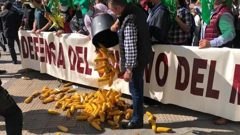 Uni&oacute;n del Pueblo Leon&eacute;s