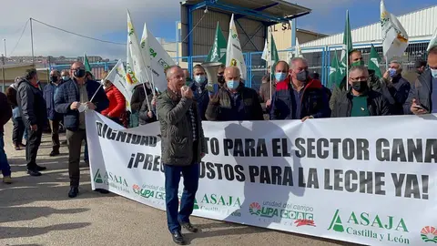 Ayuda al vacuno de leche de Castilla y Le&oacute;n,