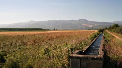 Regadios del Canal Bajo (fOTO aRCHIVO)