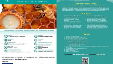 CURSO GRATUITO DE CRIA DE ABEJAS REINAS