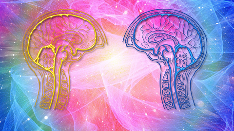 Curso sobre Mindfulness de la Universidad de Le&oacute;n
