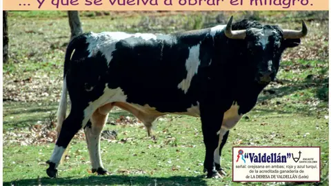 CARTEL TORO TENTENECIO