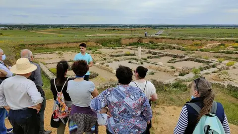 Yacimiento arqueol&oacute;gico de Lancia (Le&oacute;n)