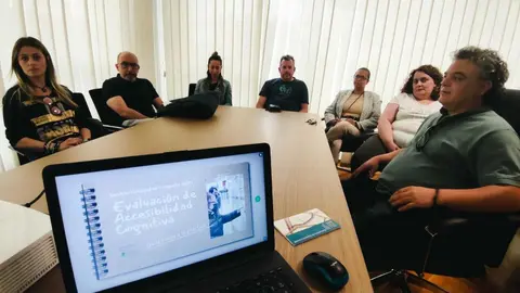 Proyecto 'Por el art&iacute;culo 13'