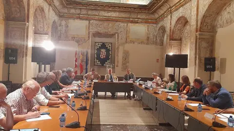 Comisi&oacute;n de los Caminos a Santiago Castilla y Le&oacute;n