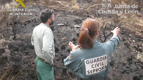 La Guardia Civil investigado por incendio-forestal