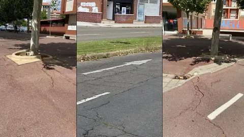 Im&aacute;genes de La Palomera (foto Ciudadanos)