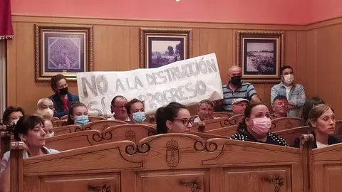 Pleno Bustillo del P&aacute;ramo para debatir la ubicaci&oacute;n del proyecto fotovoltaico