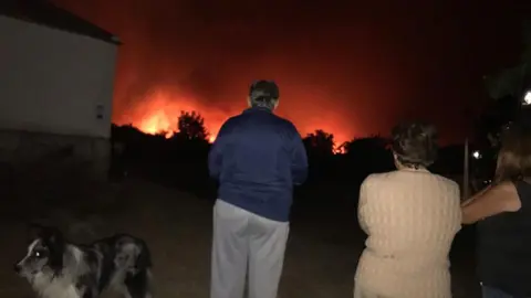 El incendio se sale del per&iacute;metro del campo de tiro del Teleno en la zona de Bois&aacute;n