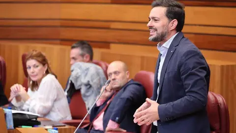 El procurador socialista Diego Moreno durante su intervenci&oacute;n en las Cortes de Castilla y Le&oacute;n