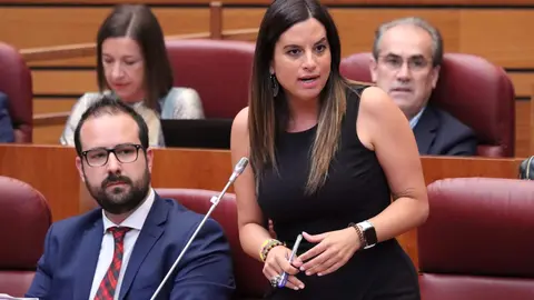 La portavoz socialista Nuria Rubio durante una intervenci&oacute;n en las Cortes de CyL (foto de archivo)