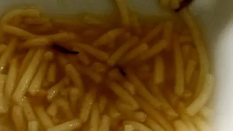 Gorgojos en una sopa del Hospital de Le&oacute;n (foto cedida por el PSOE)