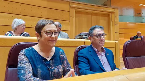 Los senadores socialistas por Le&oacute;n, Salvador Vidal y Carmen Mor&aacute;n