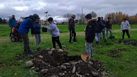 Plantaci&oacute;n de &aacute;rboles para celebrar el XXV aniversario de AMBI