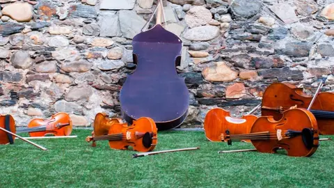 Camerata Cl&aacute;sica de Ponferrada con Tom&aacute;s Mart&iacute;n: Homenaje a Crist&oacute;bal Halffter
