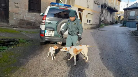 La Guardia Civil recupera los perros abandonados