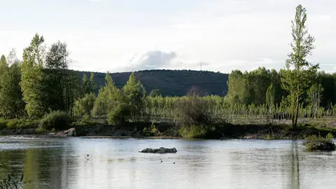 R&iacute;o &Oacute;rbigo a su paso por Secarejo